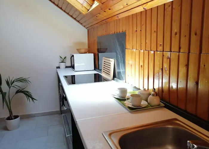 Rigo Vendeghaz * 시오포크